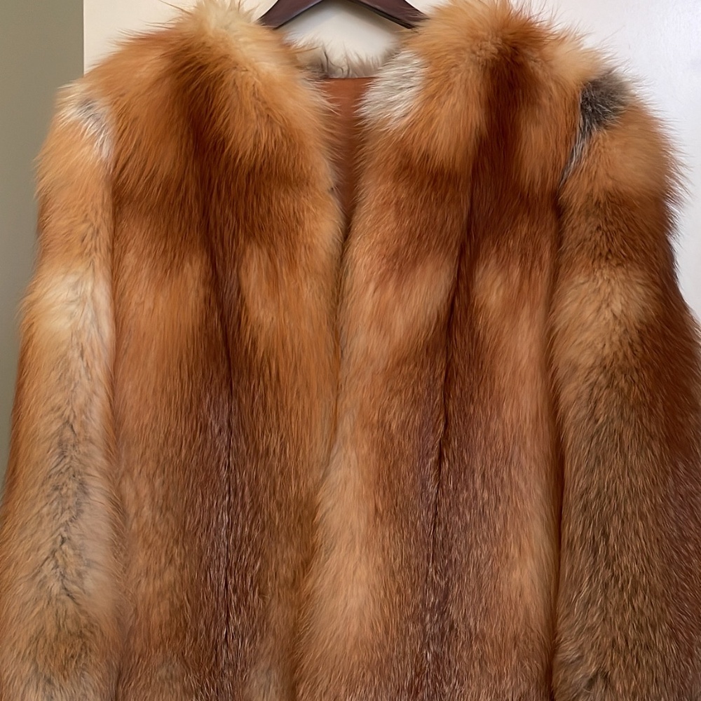 Red Fox